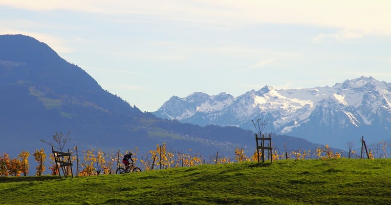 Nos 10 meilleurs vignobles à visiter en Bourgogne, entre mythes et pépites