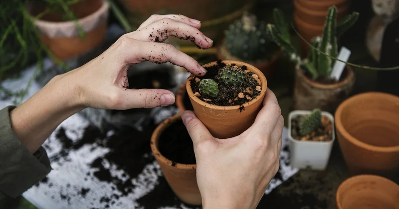 Poterie portugaise en terre cuite : ce que vous allez réellement toucher